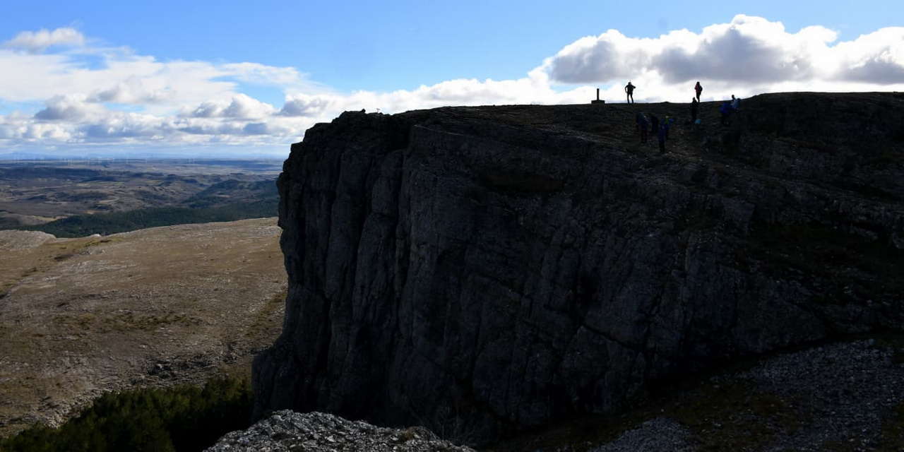 WhatsApp Image 2026-02-09 at 20.29.03 (1)